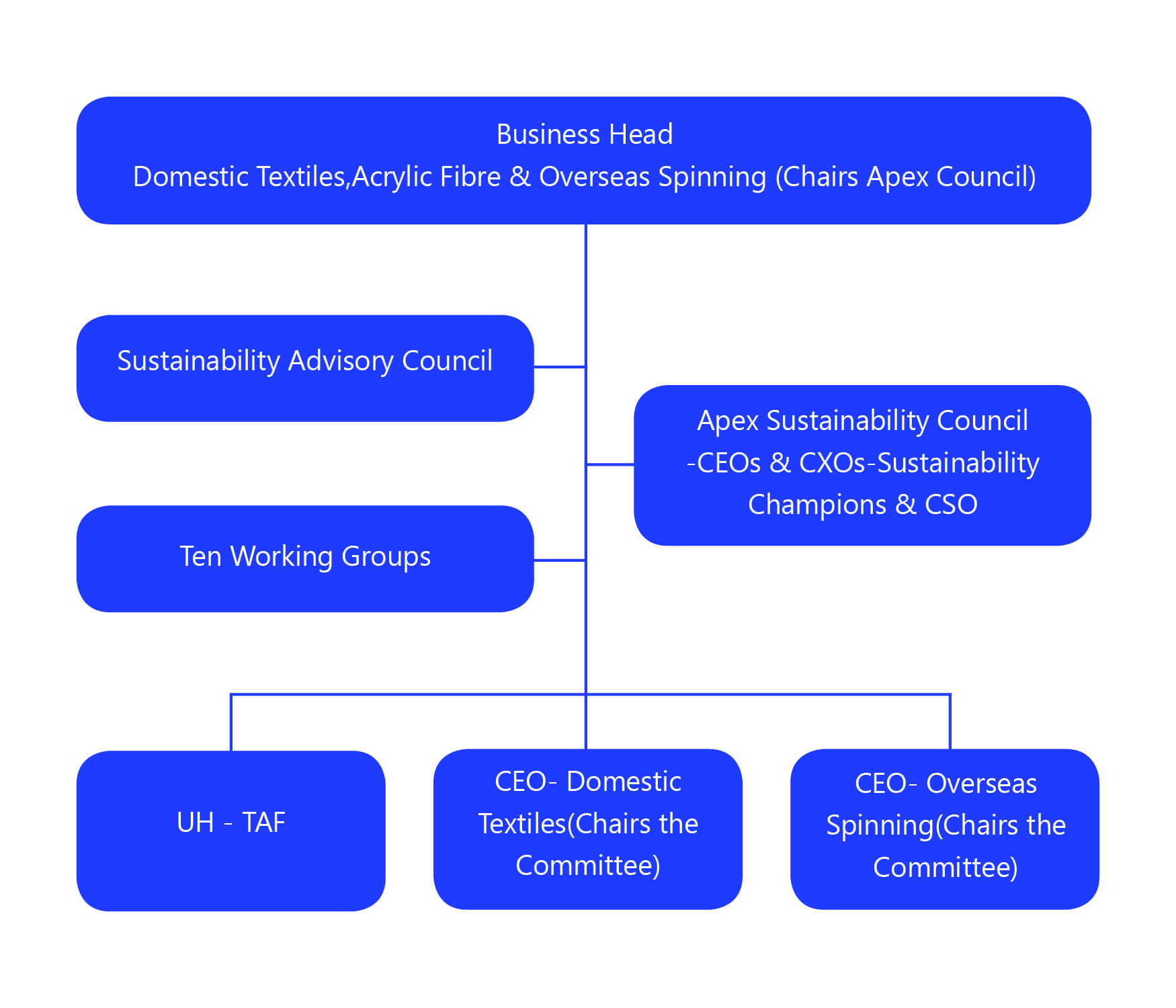 GOVERNANCE STRUCTURE