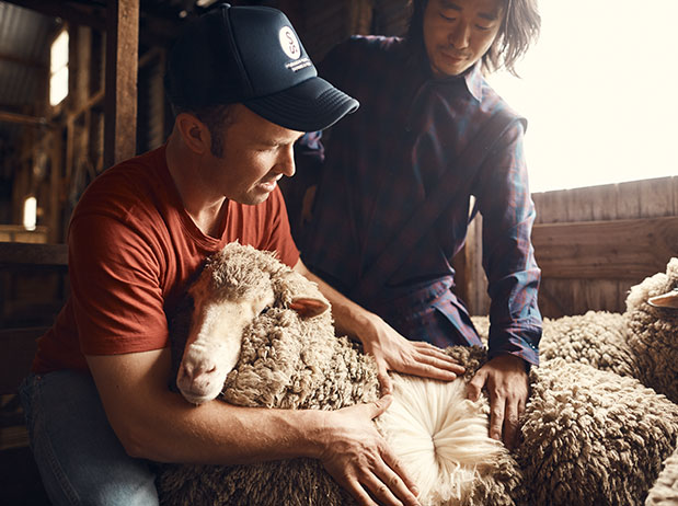 Wool-Story-Uniqueness Wool-Story-Uniqueness