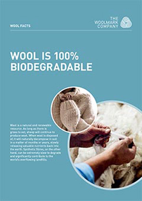 wool-is-100-per-cent-biodegradable-131217-1