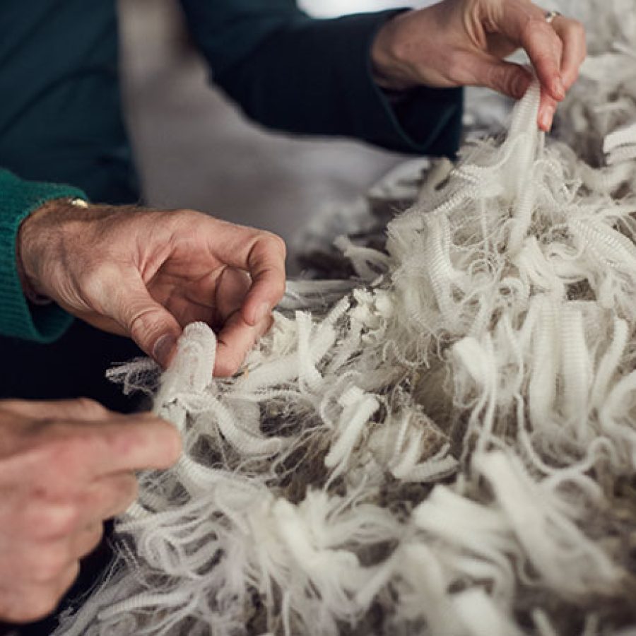 Wool-Story-wool-farming